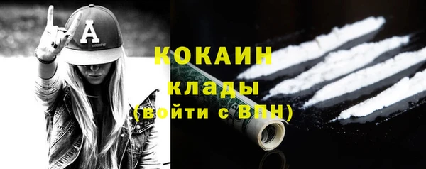 прущие крисы Няндома