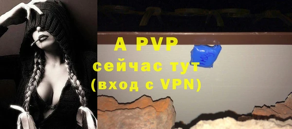 прущие крисы Няндома