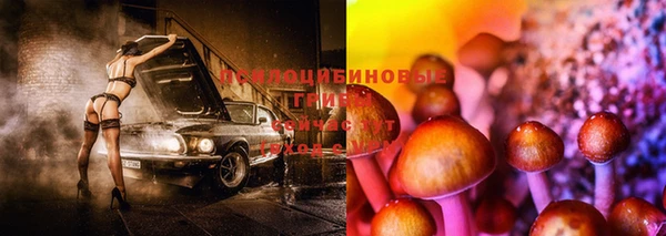 мдпв Нязепетровск